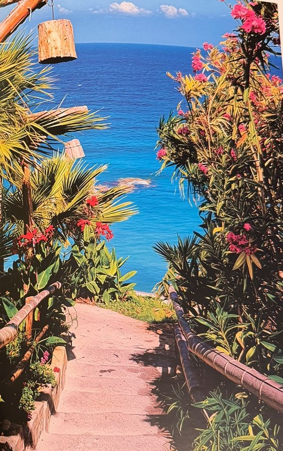 Inside the book: Steps down to the sea between palms and pink oleander